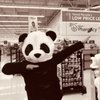 Xiang C.
